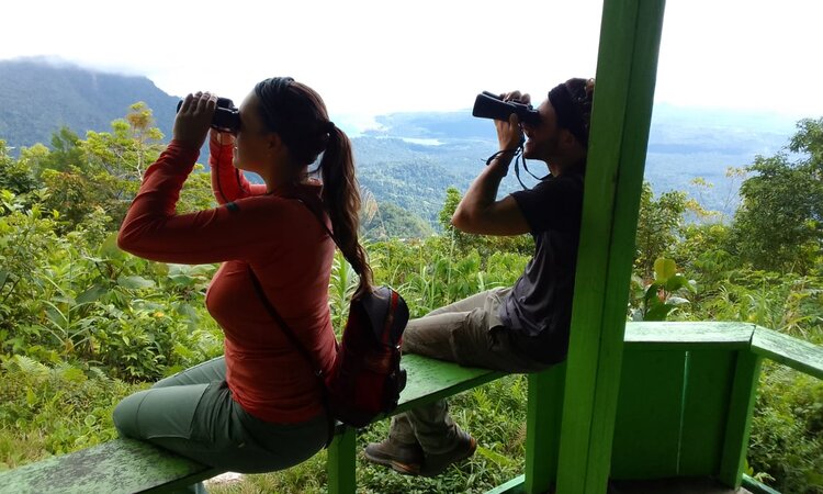 Indonesia, Moluccas: Manusela National Park, birdwatching in Masihulan village