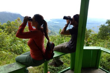 Indonesia, Moluccas: Manusela National Park, birdwatching in Masihulan village