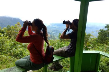Indonesien, Molukken: Manusela National Park, Vogelbeobachtung im Dorf Masihulan 