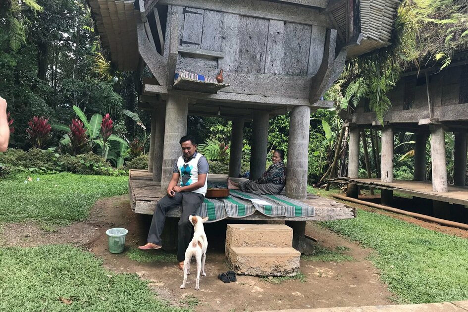 Sulawesi - Toraja Hochland Dorfleben: Zwei Menschen und ein Hund sitzen unter einem Reisspeicher