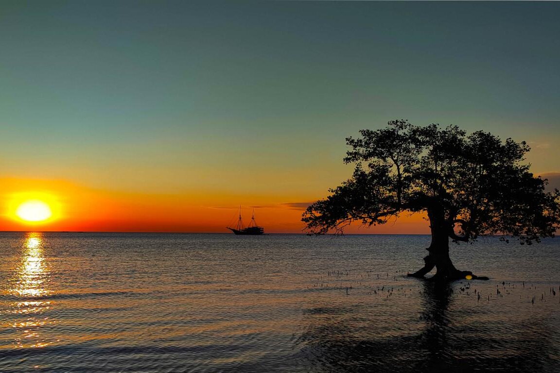 Kleine Sunda Insel Sumbawa, Indonesien: Strand mit Baum bei Sonnenuntergang