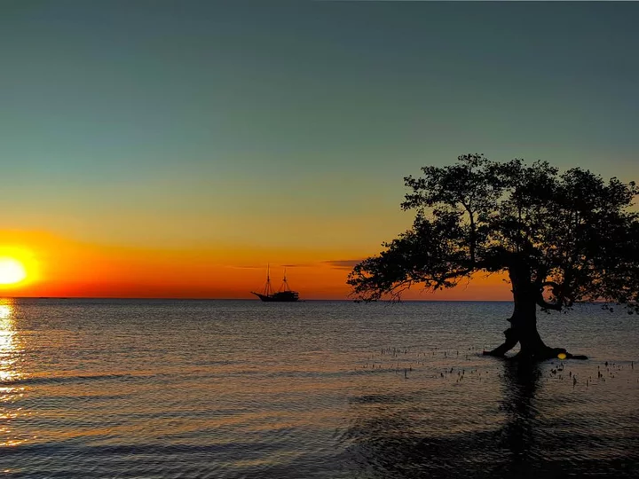 Kleine Sunda Insel Sumbawa, Indonesien: Strand mit Baum bei Sonnenuntergang