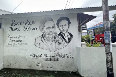 Indonesien, Gewürzinsel Ternate: Alfred Russel Wallace Mural
