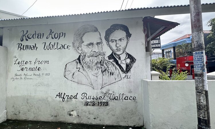 Indonesien, Gewürzinsel Ternate: Alfred Russel Wallace Mural