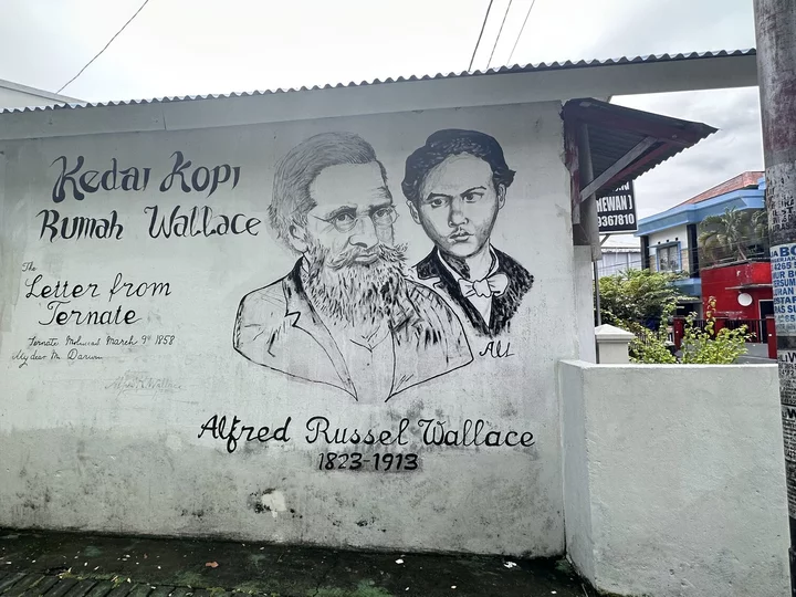 Indonesia, Spice Island Ternate: Alfred Russel Wallace Mural