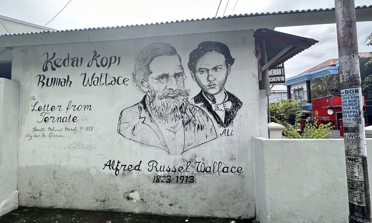 Indonesia, Spice Island Ternate: Alfred Russel Wallace Mural