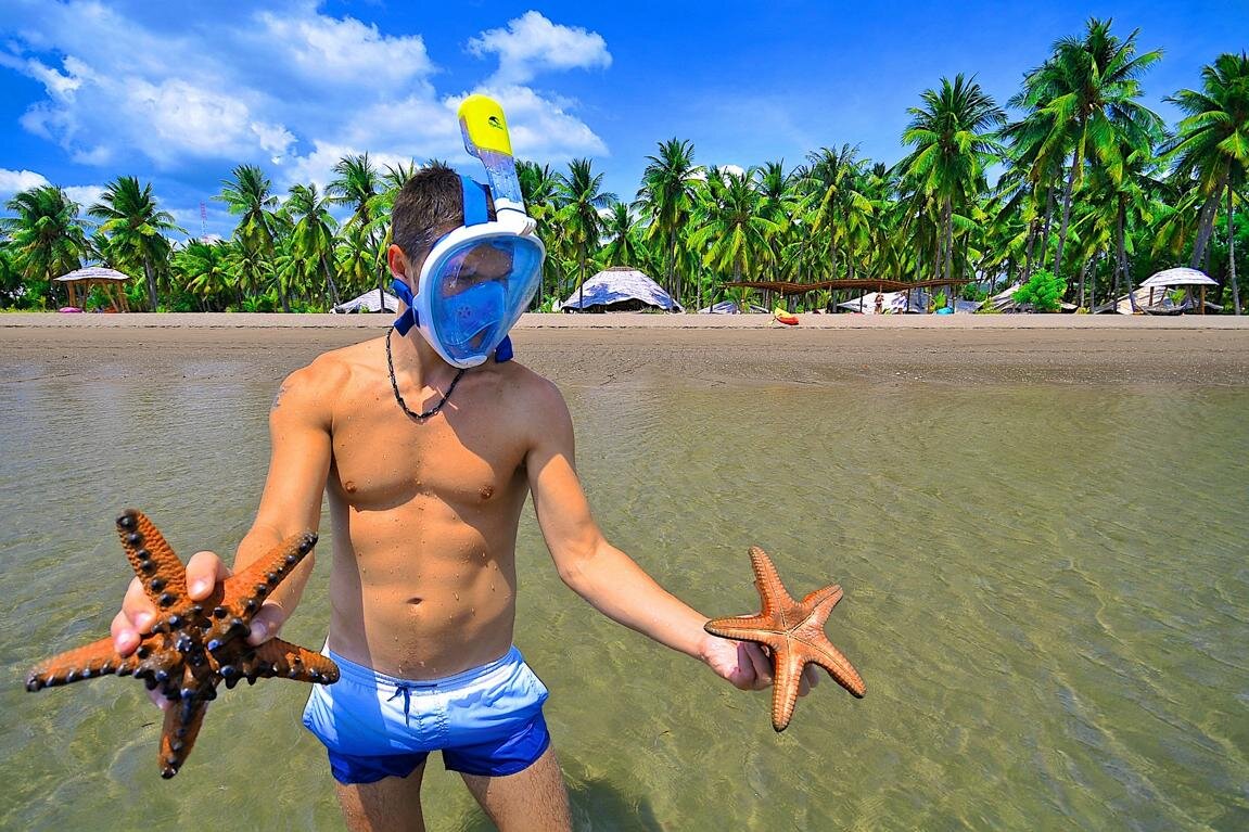 Flores, Lesser Sunda Islands: Man with starfish, Coconut Garden Beach Resort