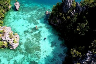 Sulawesi, Sombori island: Shark in little bay