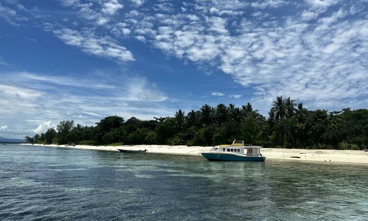 Metita Beach & Dive Resort - Moluccas, Morotai: boats on beach