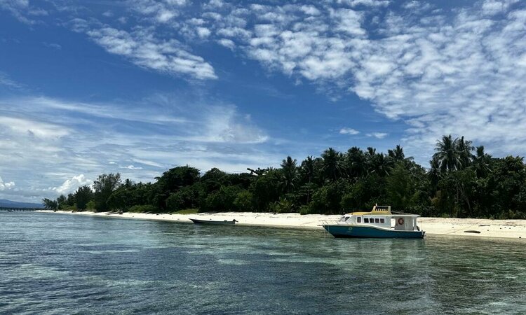 Metita Beach & Dive Resort - Molukken, Morotai: Boote am Strand