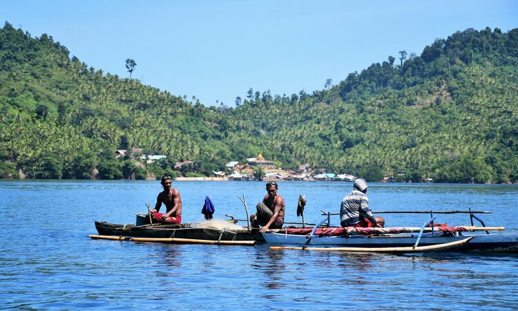 Moluccas, Halmahera: Fishermen at work