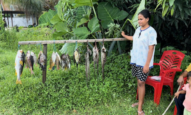 Molukken, Halmahera: Frau verkauft Fisch am Strassenrand