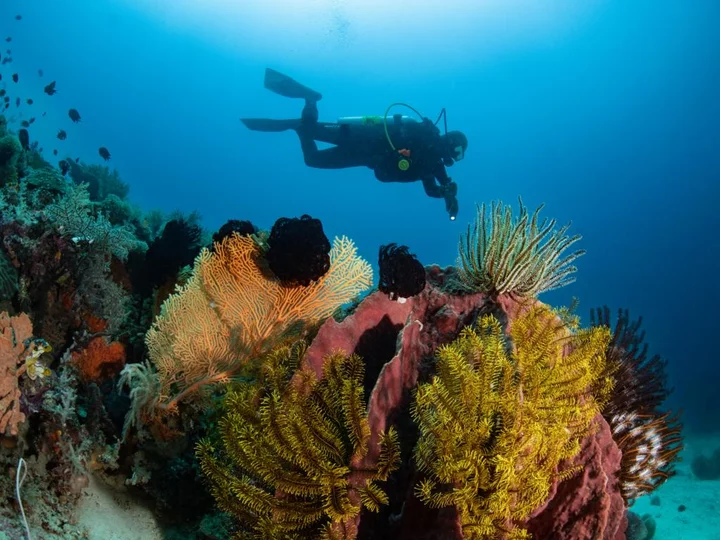 Indonesien, Morotai: Metita Resort - Divespot