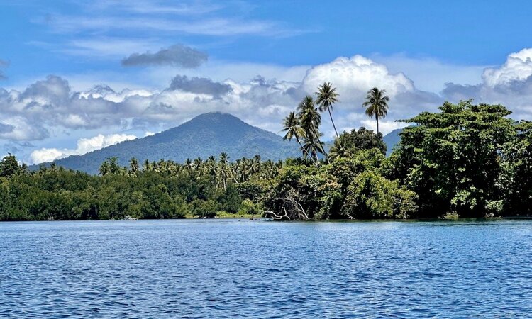 Indonesia, Moluccas: Landscape panorama Halmahera with mountain, sea & palm trees