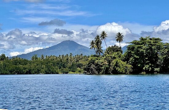 Indonesien, Molukken: Landschaftspanorama Halmahera mit Berg, Meer & Palmen