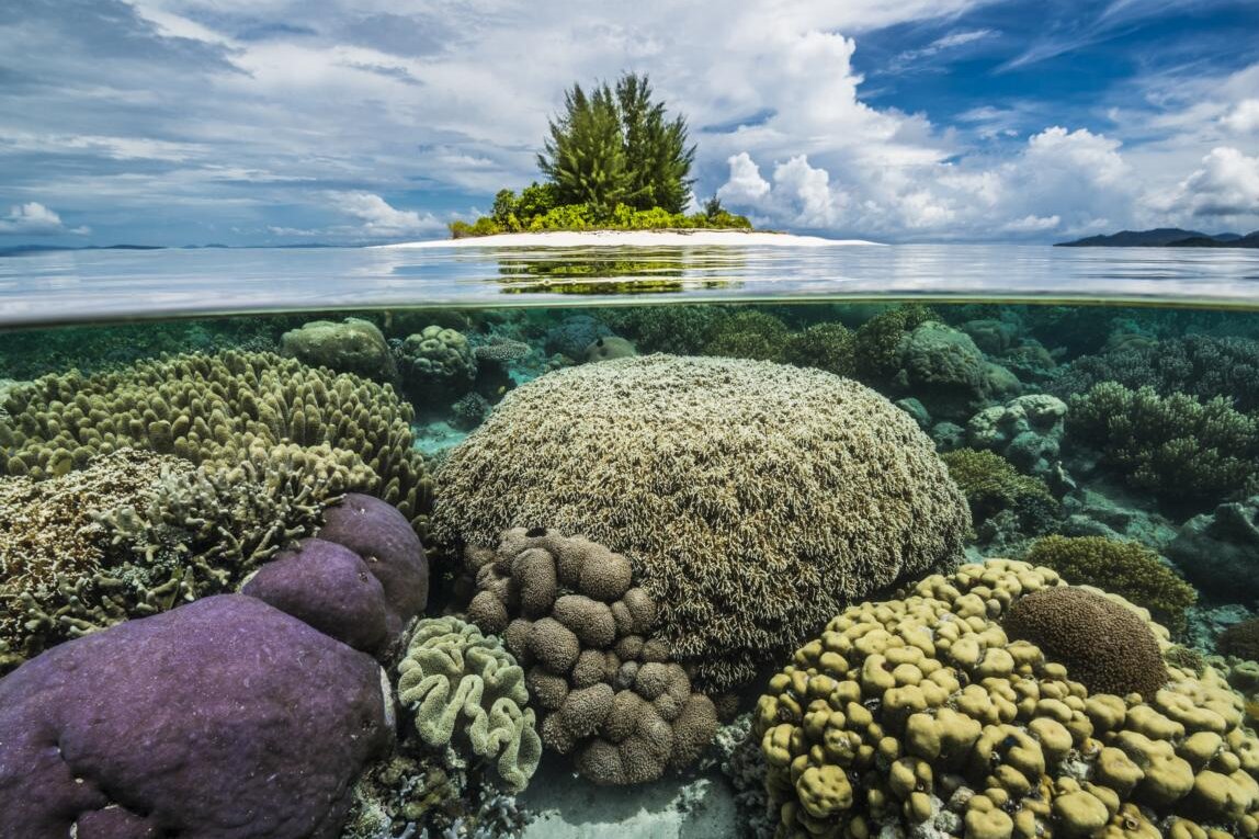 Raja Ampat: Über- und Unterwasser-Aussicht