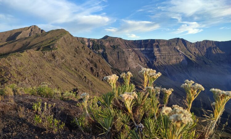 Fauna entlang des Kraterrands, Tambora Vulkan, Insel Sumbawa