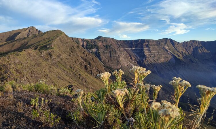 Fauna along the crater rim, Tambora volcano, island of Sumbawa