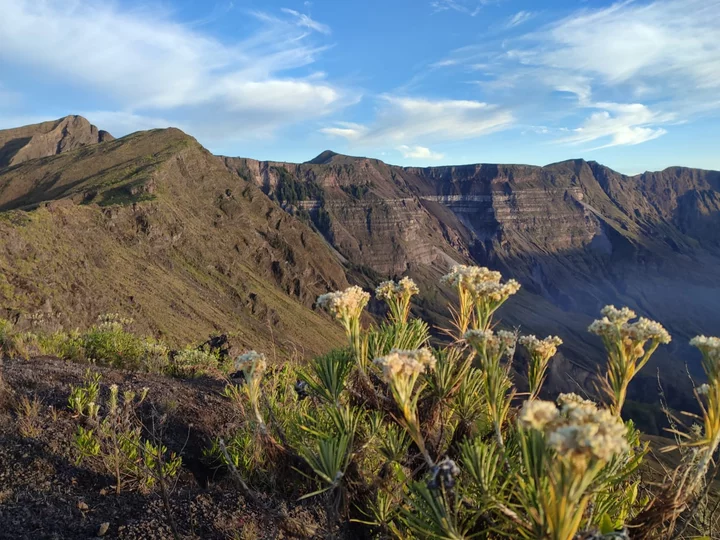 Fauna entlang des Kraterrands, Tambora Vulkan, Insel Sumbawa