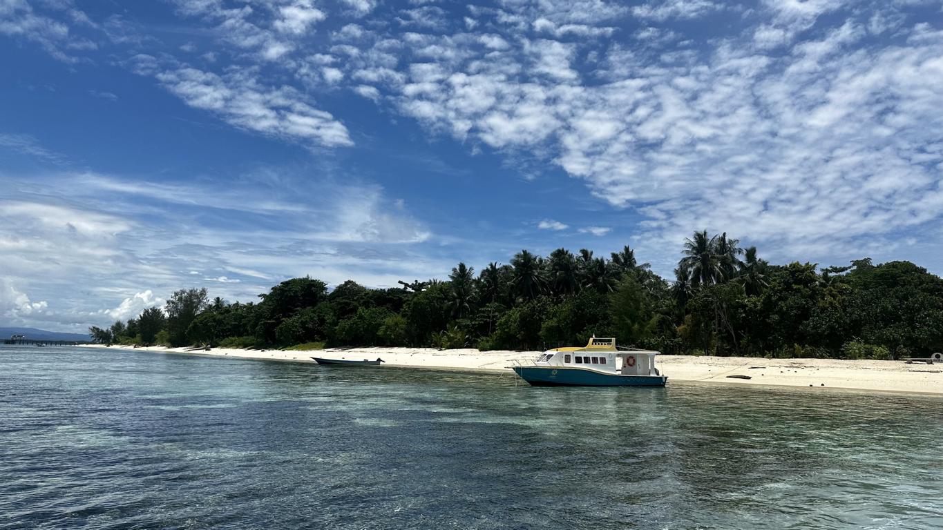 Metita Beach & Dive Resort - Moluccas, Morotai: boats on beach