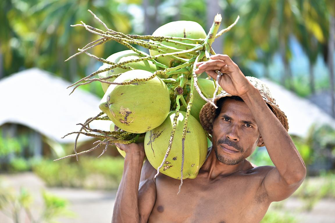 Flores Island, Coconut Garden Beach Resort: Local with coconuts