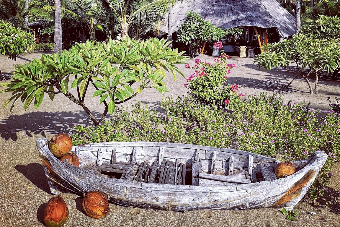 Restaurantblick vom Garten: Coconut Garden Beach Resort, Insel Flores/ Indonesien