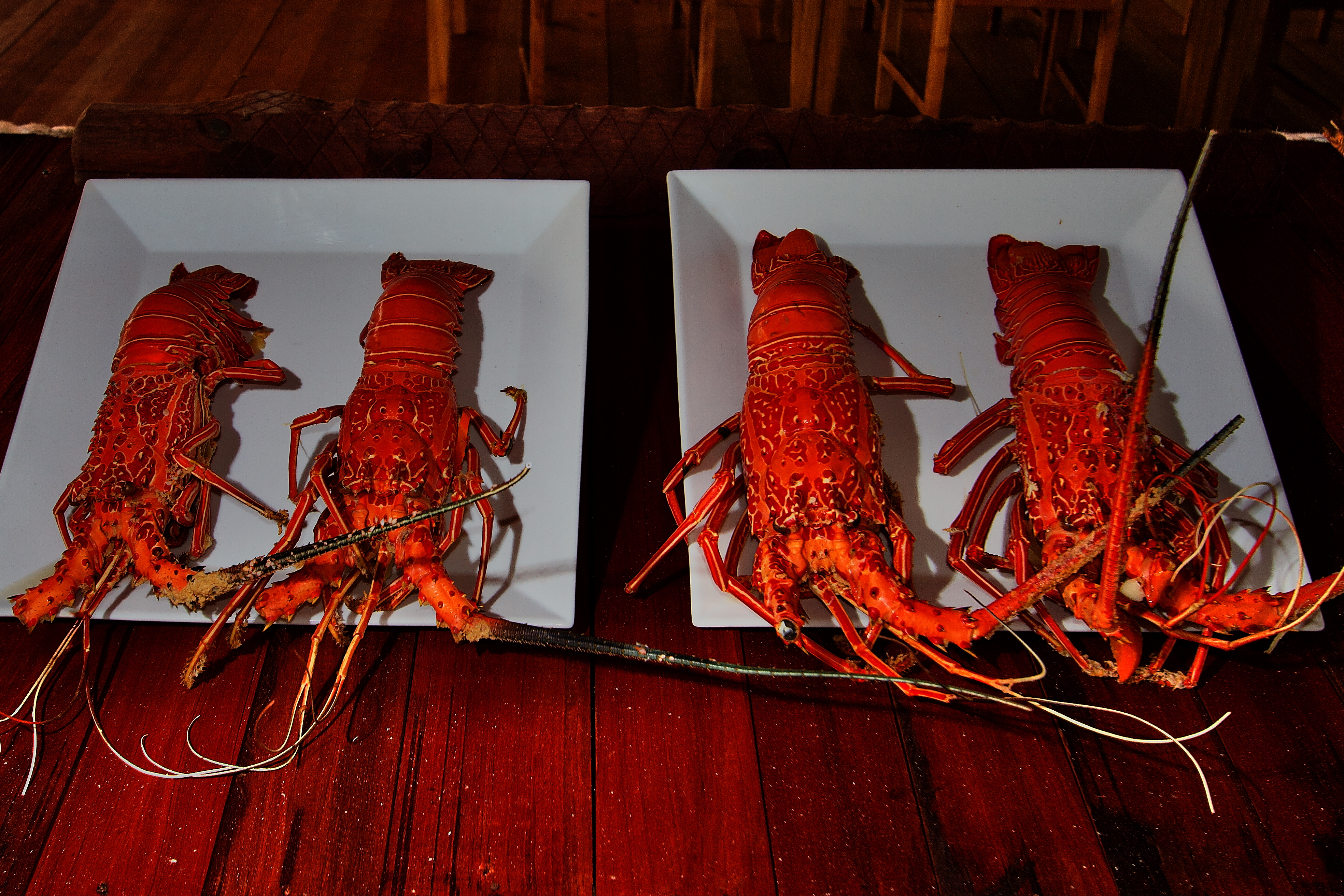  Agusta Eco Resort, Raja Ampat: Lobster Dinner