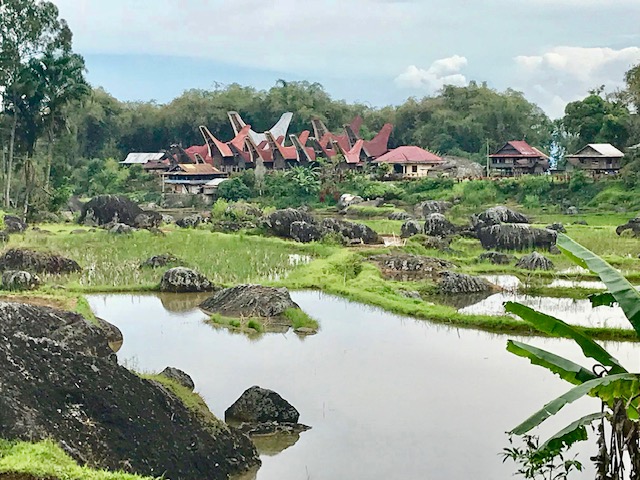  Sulawesi picturesque Toraja village