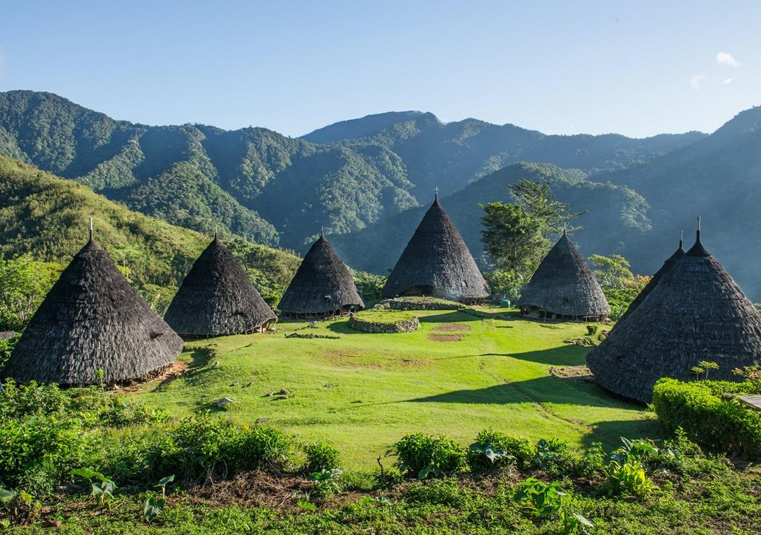  Flores: Wooden house settlement in traditional style