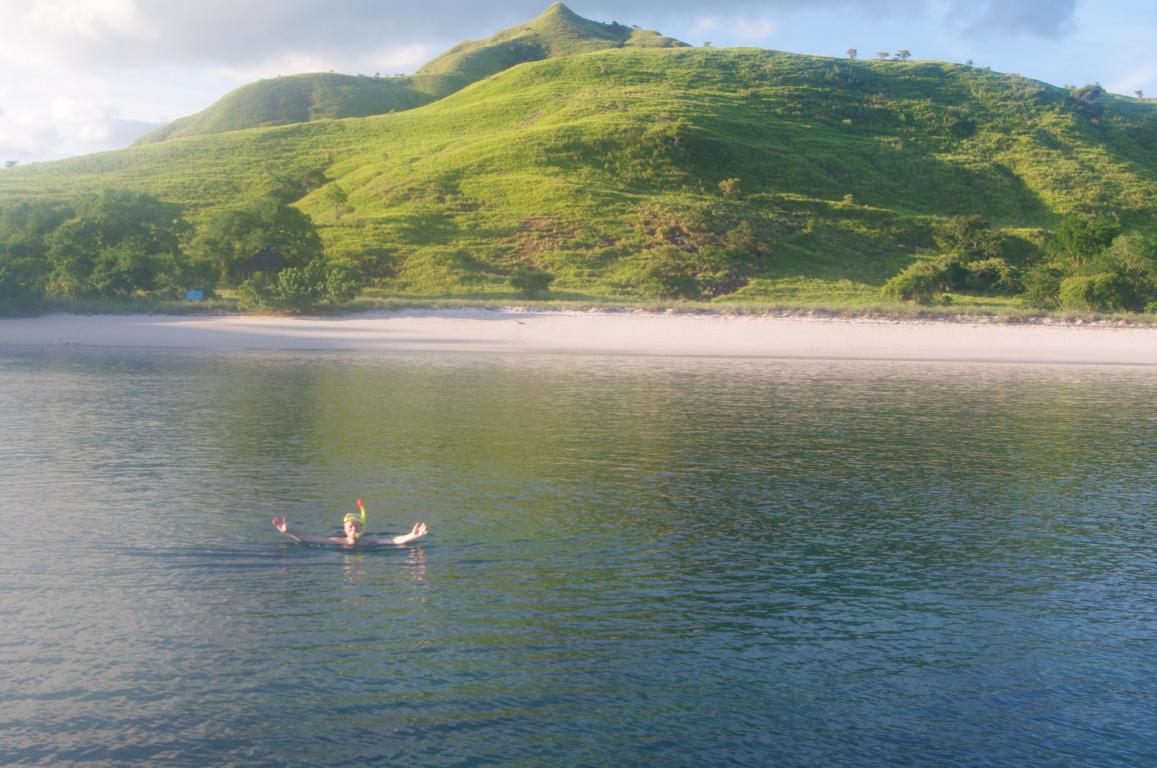Komodo National Park: Snorkeling off Angel Island