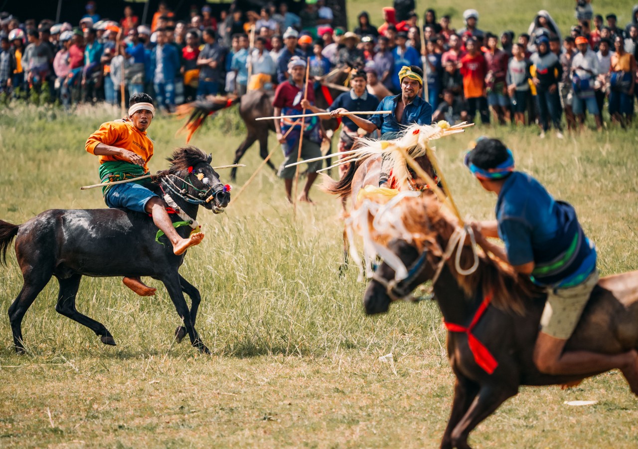 Indonesia, Little Sunda Island Sumba: Competition on horseback; the Pasola tradition