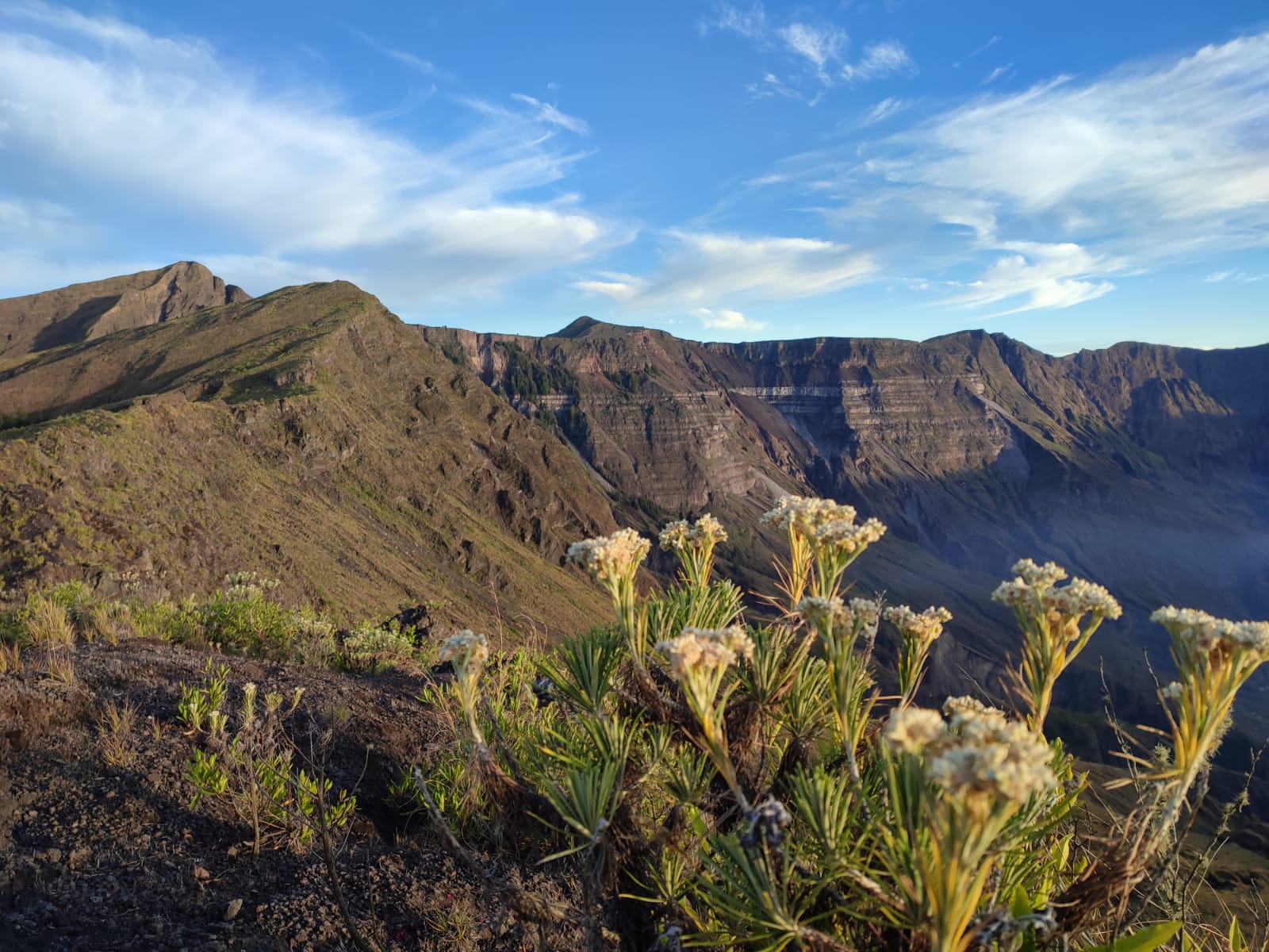 Fauna along the crater rim, Tambora volcano, island of Sumbawa