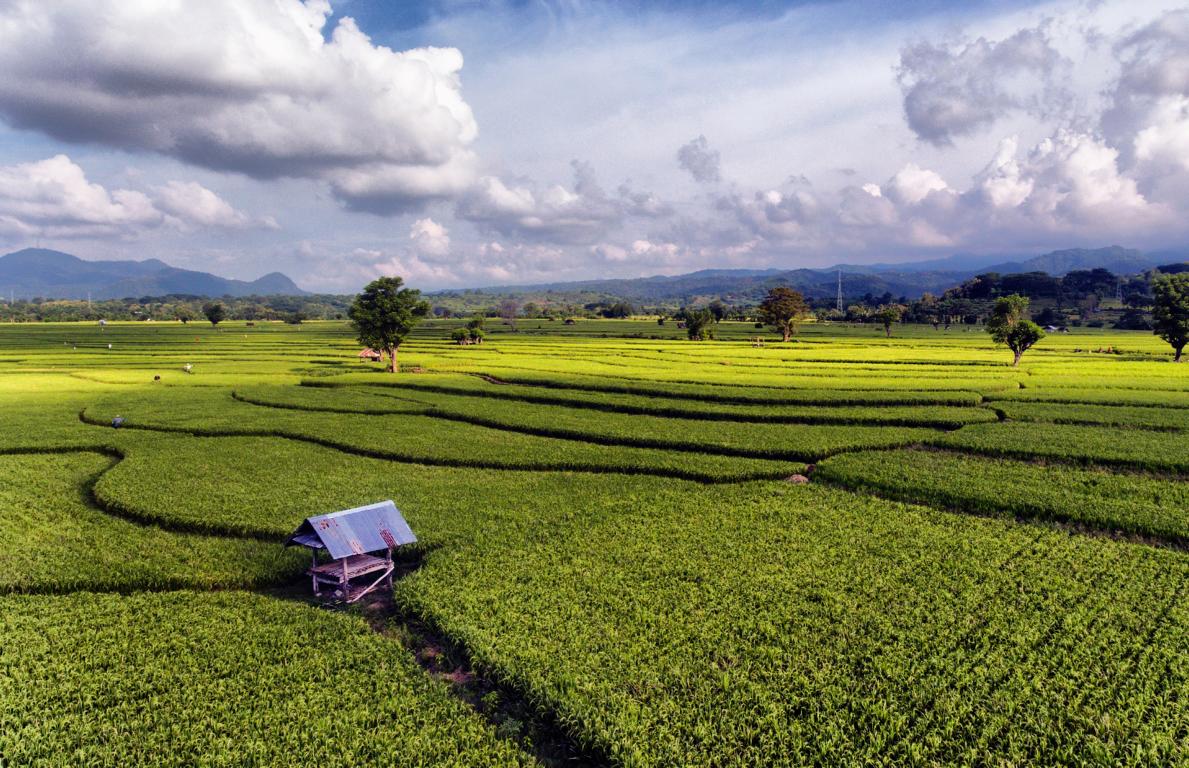 Sumbawa Island, Indonesia: Typical landscape when crossing the island along the main route