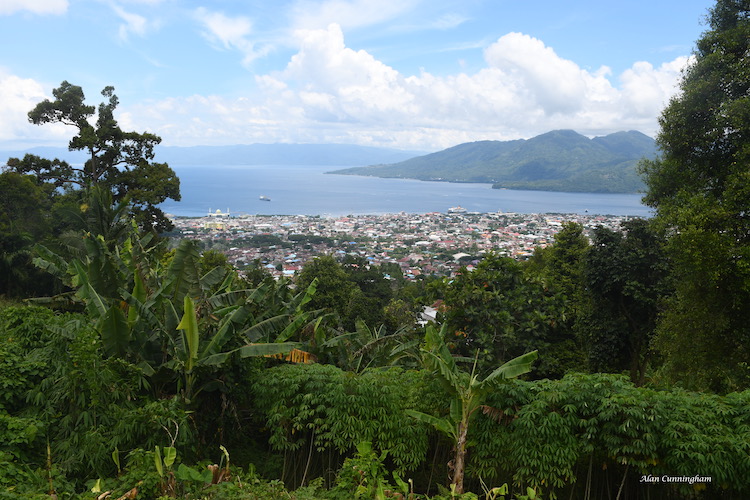 Molukken - Gewürzinseln: Ausblick auf Molukken See, Ternate