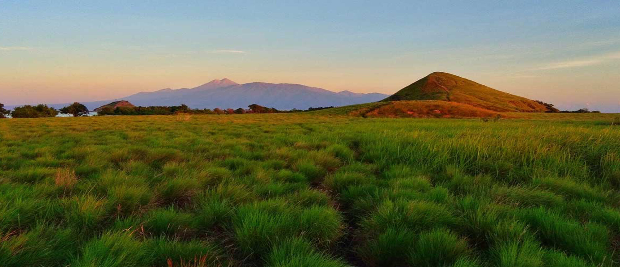 Sumbawa, Indonesia: Kenawa grass landscape